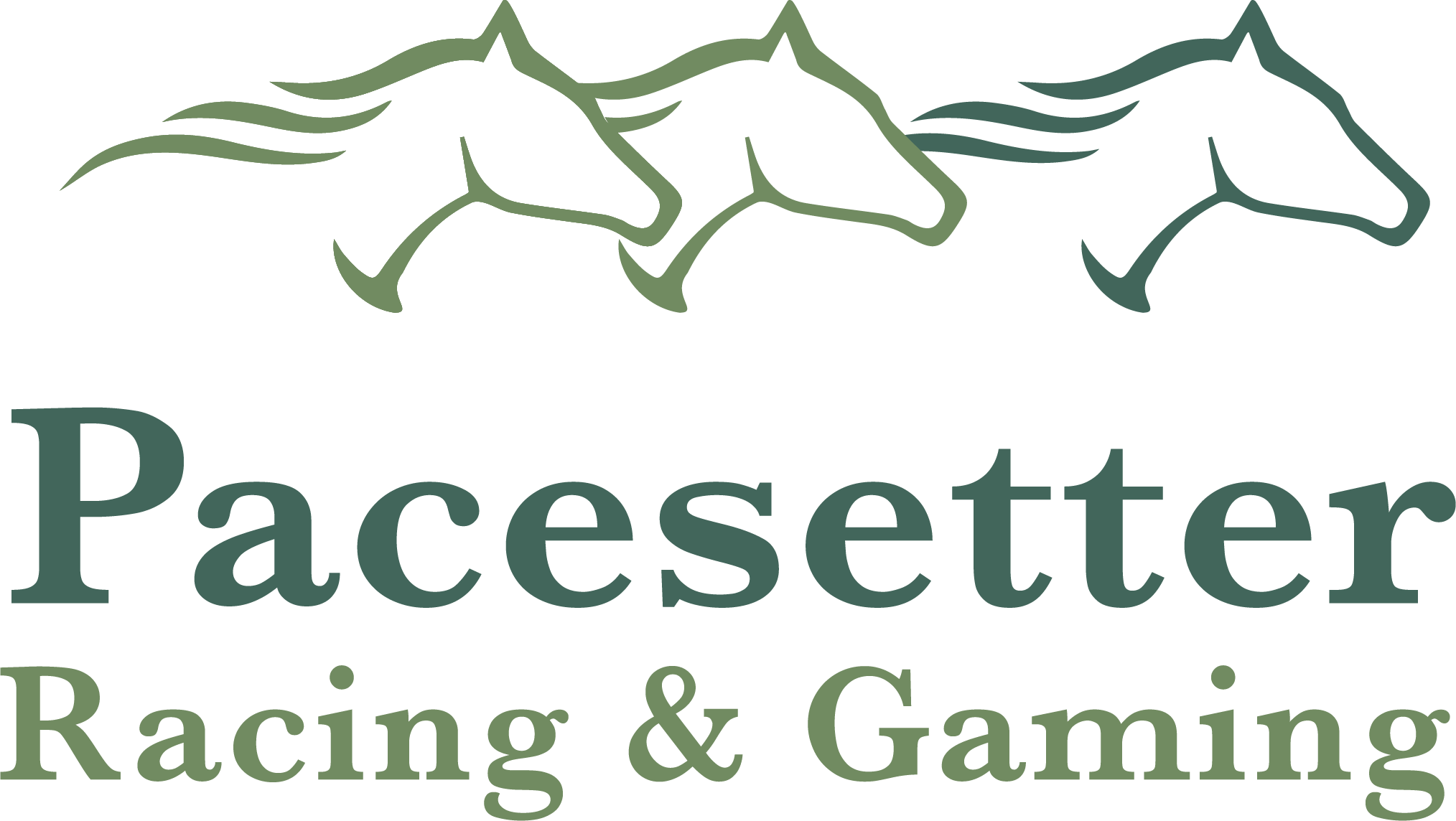 Pacesetter Racing and Gaming